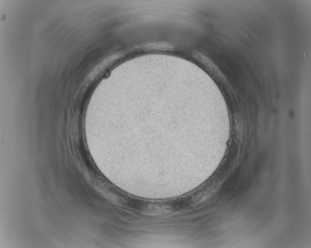 X0000060800487200512082153