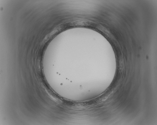 X0000060800489200512082153