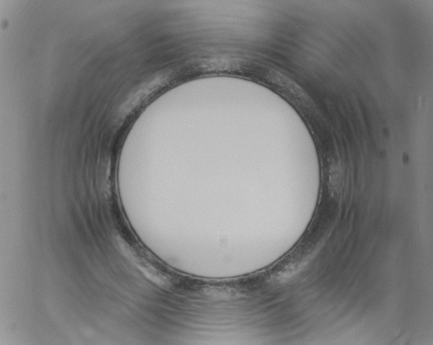 X0000060800490200512082153