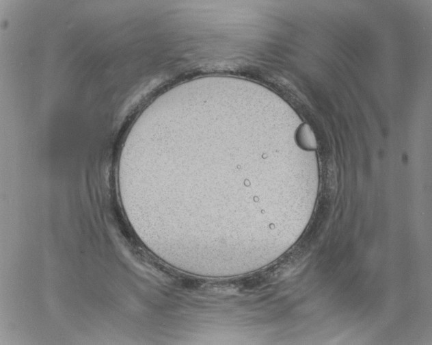 X0000060800491200512082153