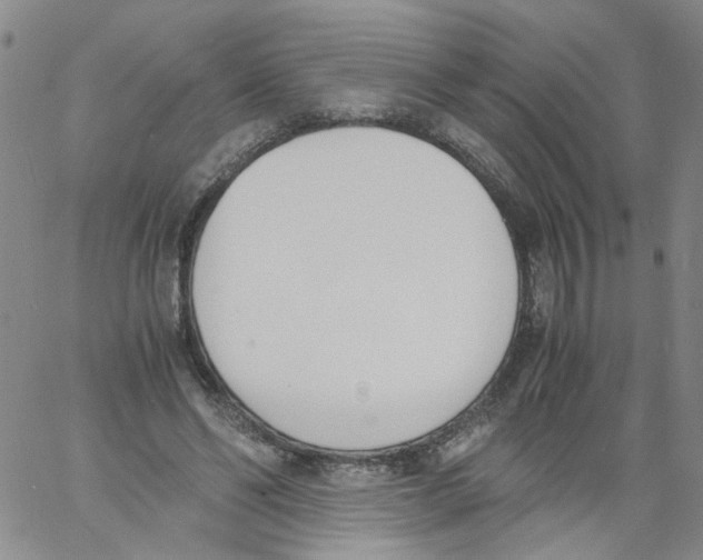 X0000060800494200512082153