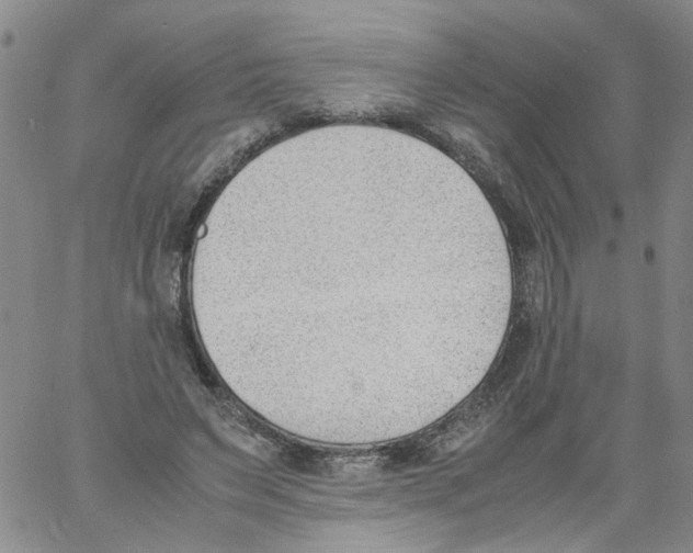 X0000060800495200512082153