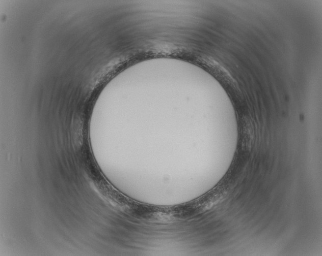 X0000060800496200512082153