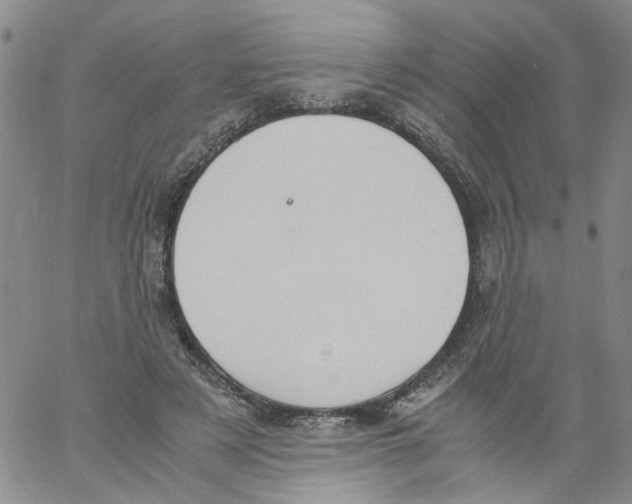 X0000060800497200512082153