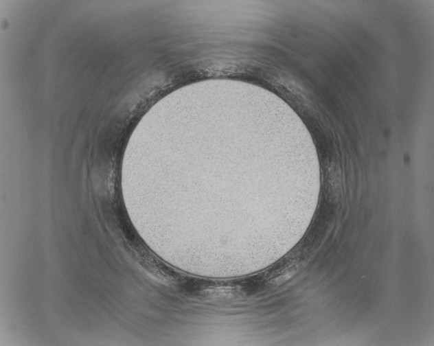 X0000060800499200512082153