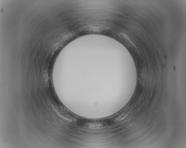 X0000060800500200512082153