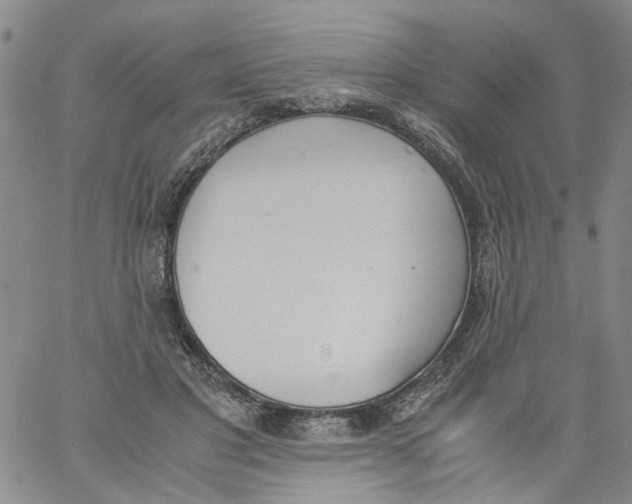 X0000060800501200512082153