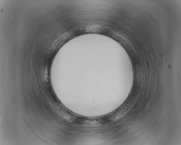 X0000060800502200512082153