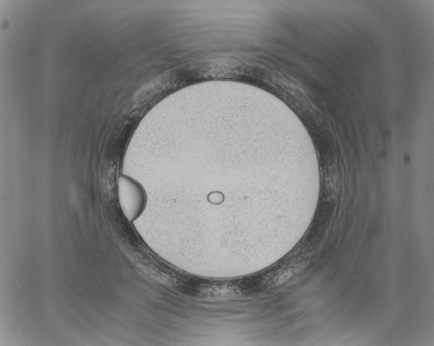 X0000060800503200512082153