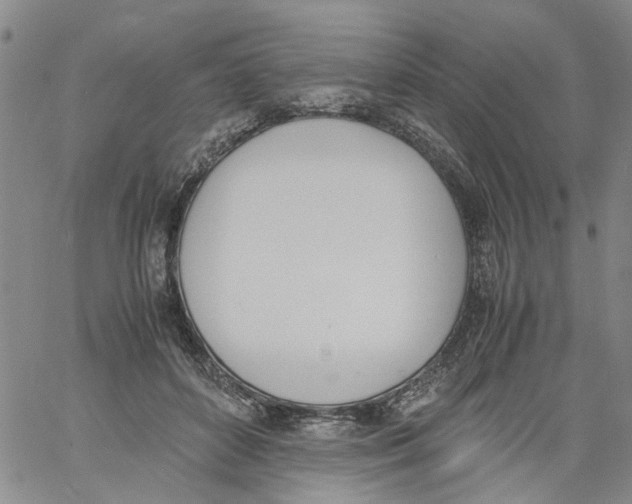 X0000060800504200512082153