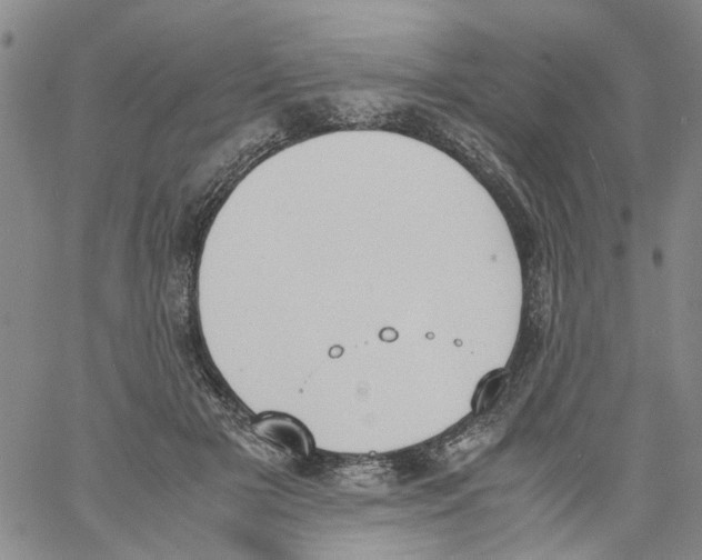 X0000060800505200512082153