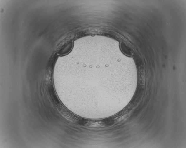 X0000060800507200512082153