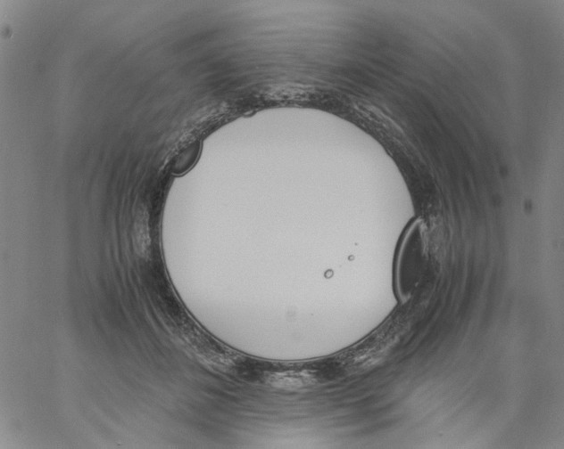 X0000060800508200512082153