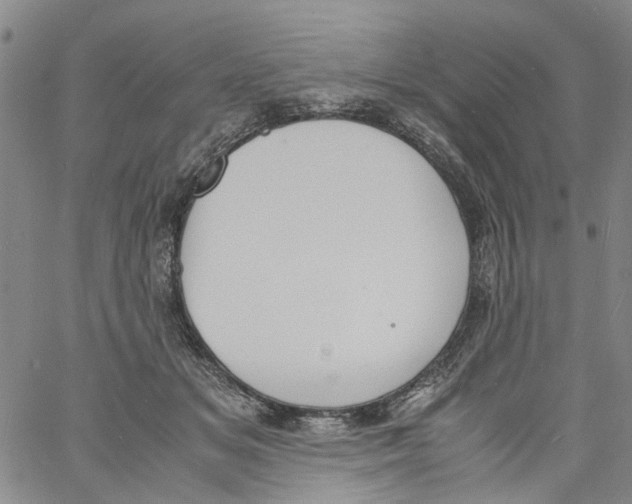 X0000060800509200512082153