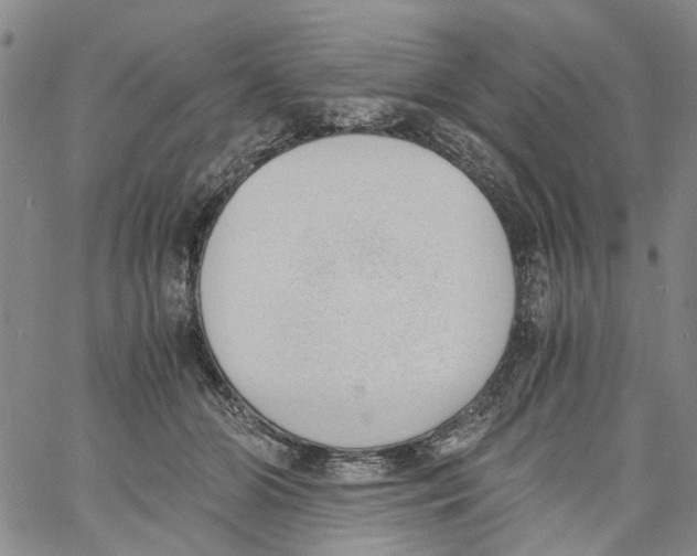 X0000060800510200512082153