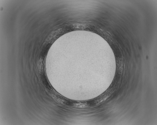 X0000060800511200512082153