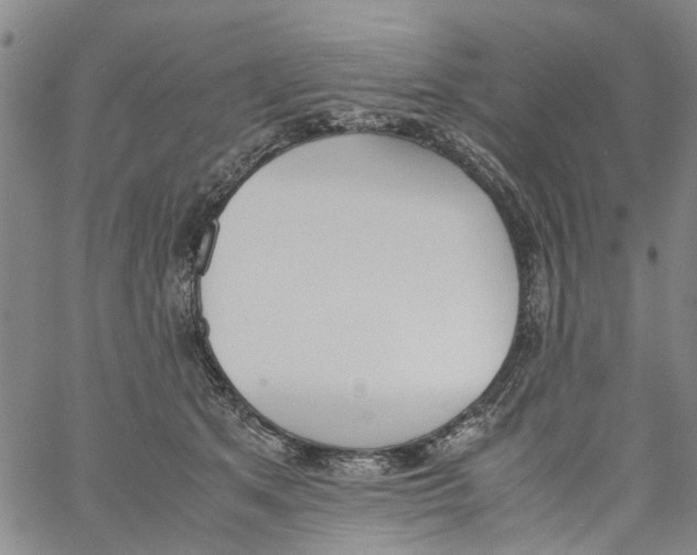 X0000060800513200512082153