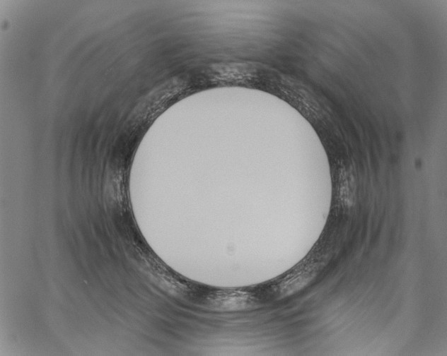 X0000060800514200512082153