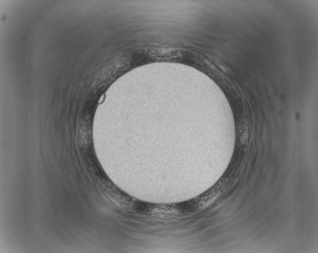 X0000060800515200512082153