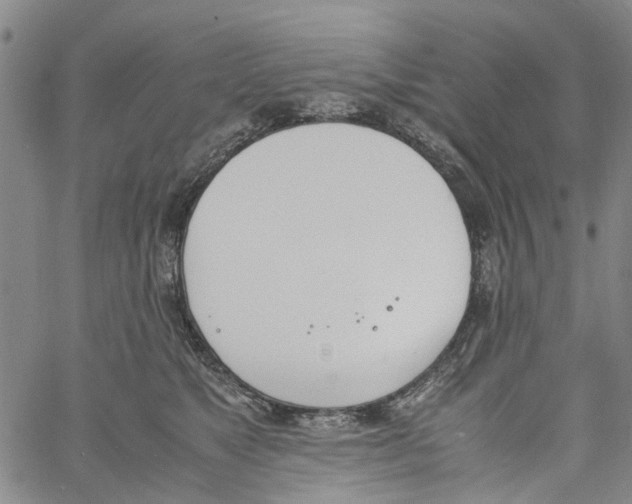 X0000060800517200512082153