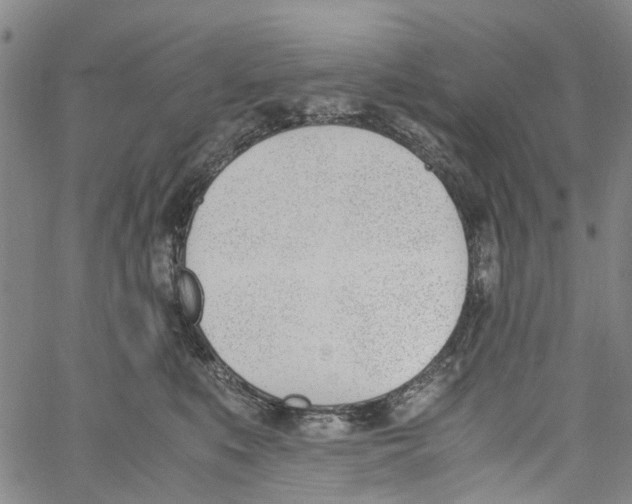 X0000060800519200512082153