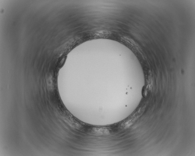 X0000060800520200512082153