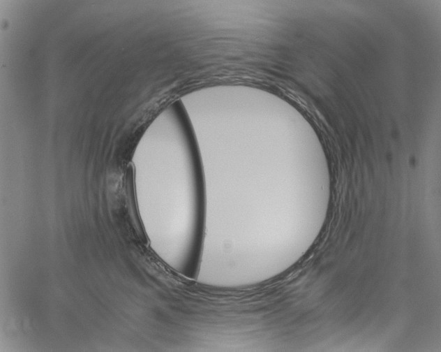 X0000060800521200512082153