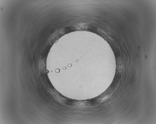 X0000060800523200512082153