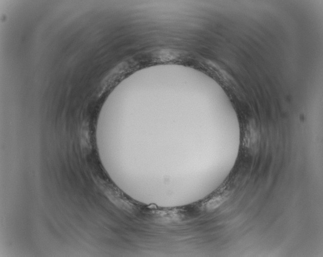 X0000060800524200512082153