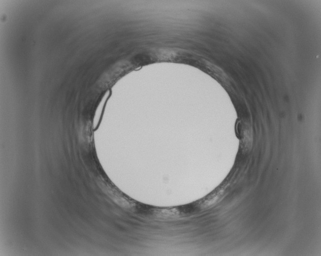 X0000060800525200512082153