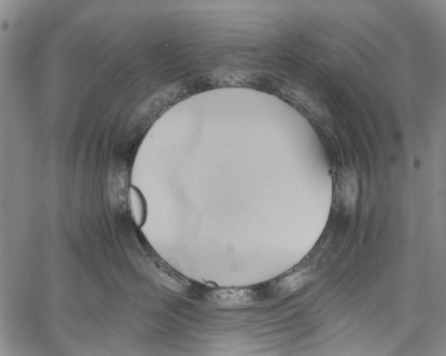 X0000060800526200512082153