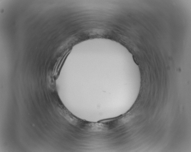 X0000060800528200512082153