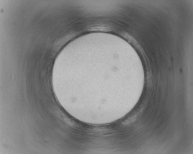 X0000060800529200512082152