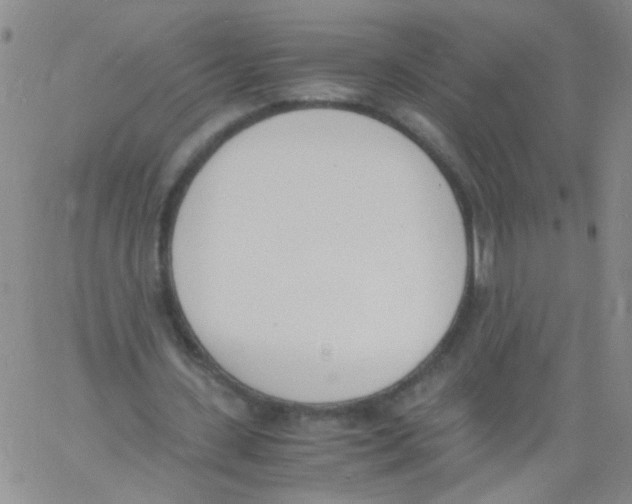 X0000060800531200512082152