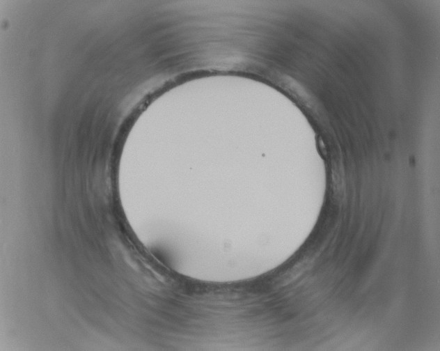 X0000060800532200512082152