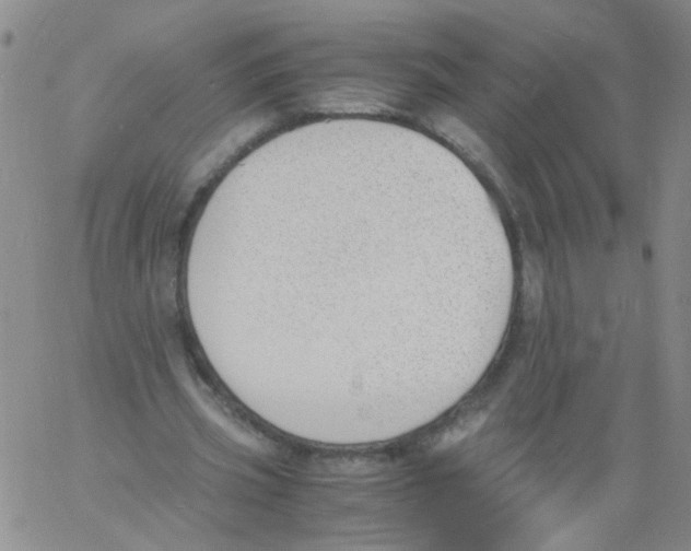 X0000060800533200512082152