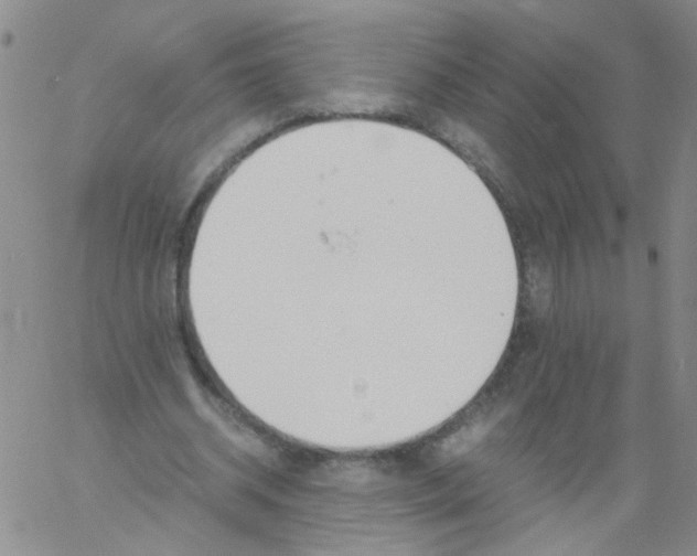 X0000060800534200512082152