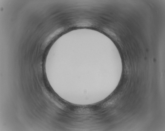 X0000060800535200512082152