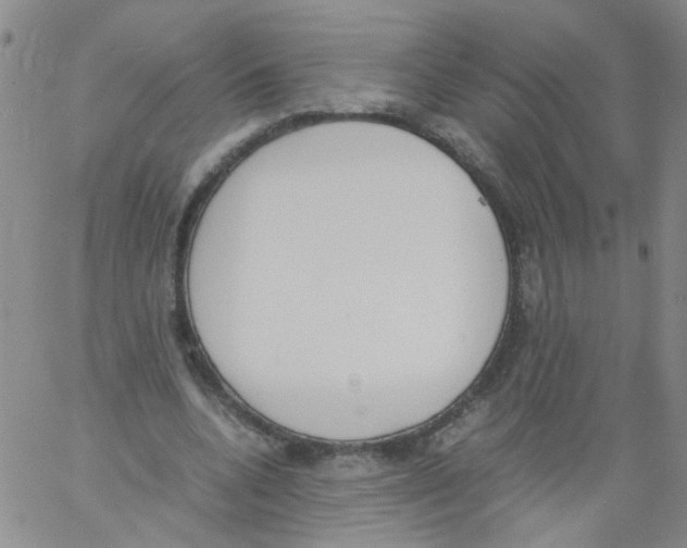 X0000060800536200512082152