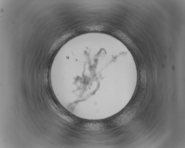 X0000060800537200512082152