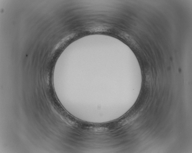 X0000060800539200512082152