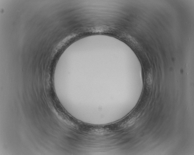 X0000060800540200512082152