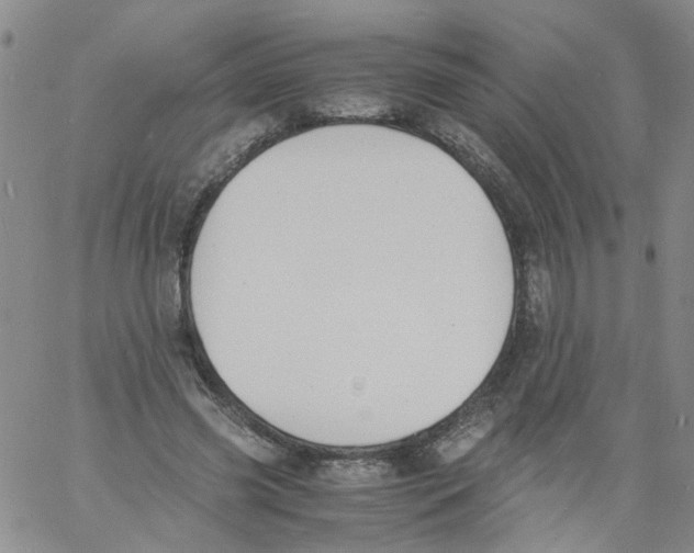 X0000060800541200512082152