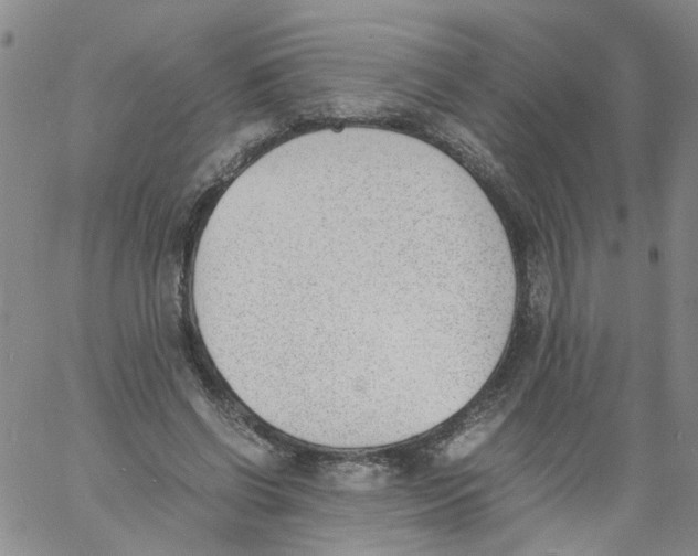 X0000060800542200512082152