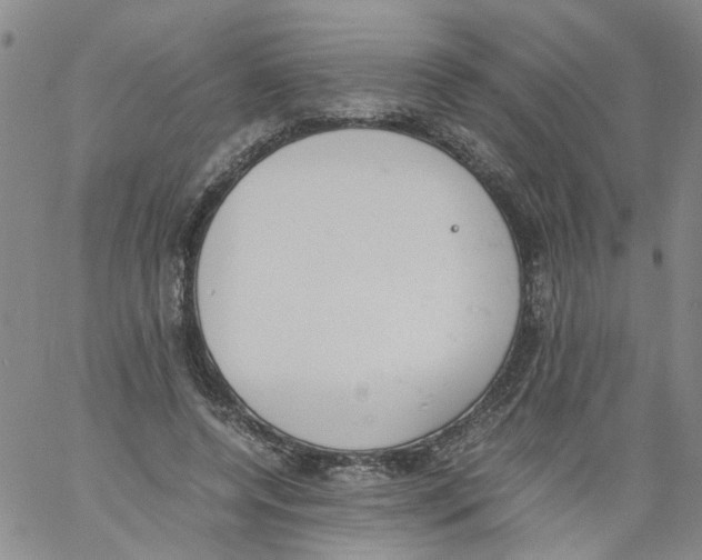 X0000060800544200512082152