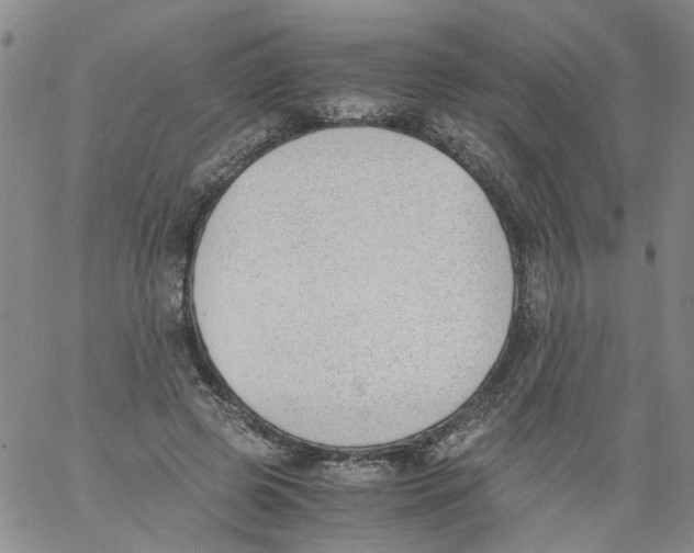 X0000060800545200512082152