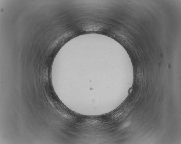 X0000060800547200512082152