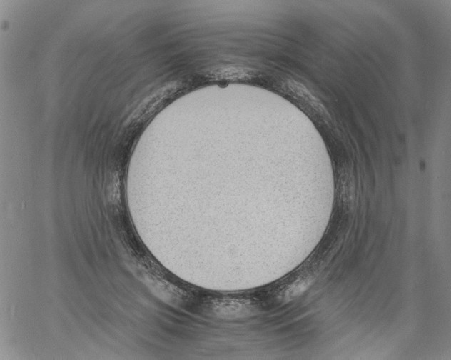 X0000060800549200512082152