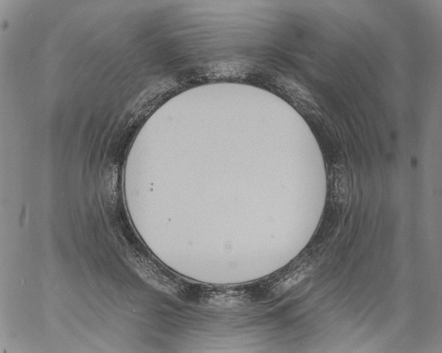 X0000060800550200512082152