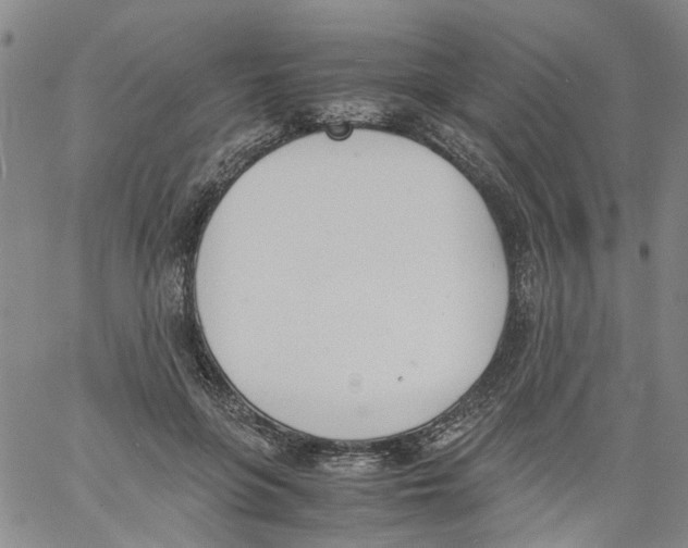 X0000060800551200512082152